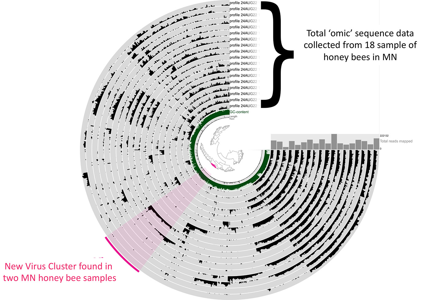 honey bee genomic sequencing